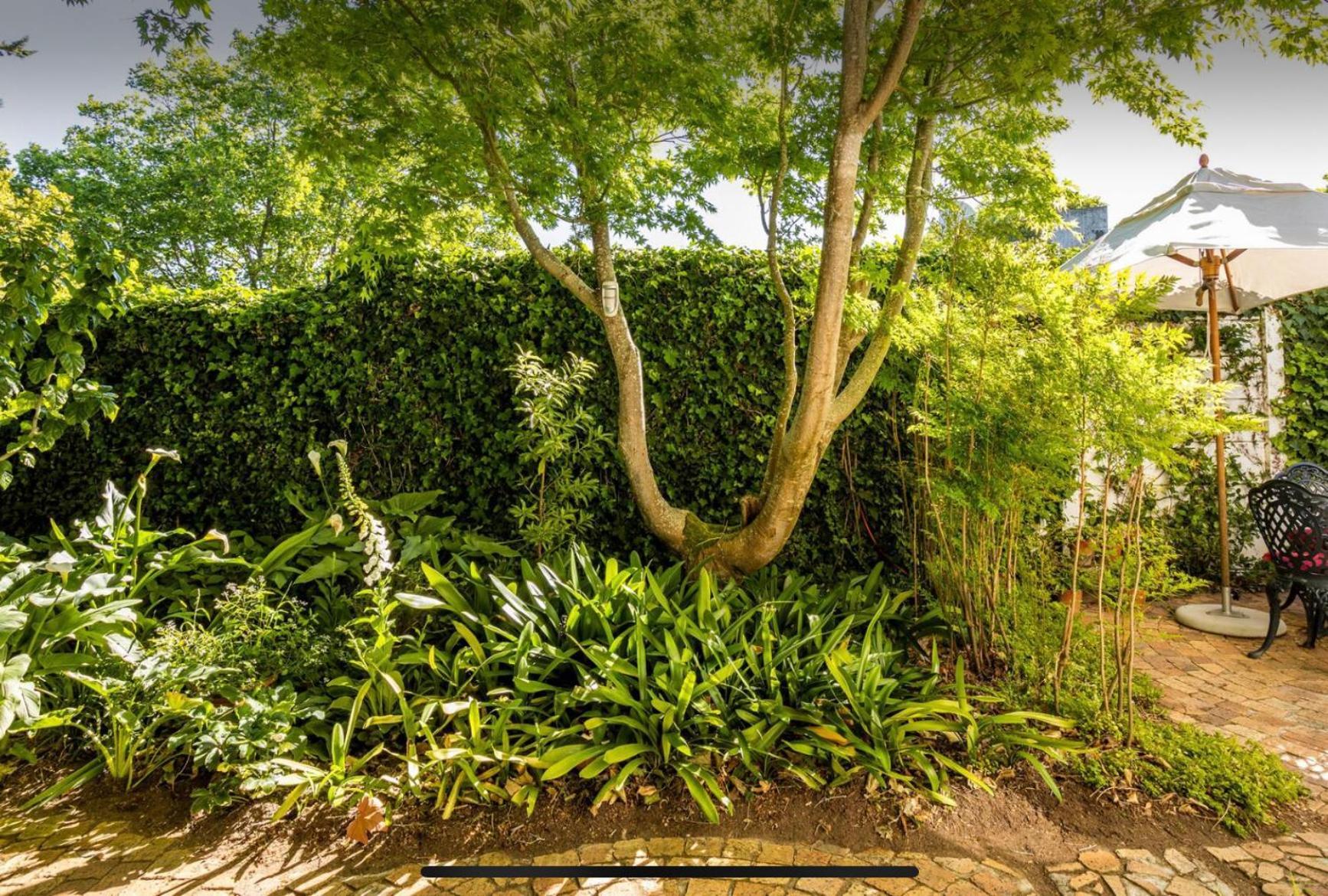 קייפטאון Guest Suite - Leafy Constantia Guest House מראה חיצוני תמונה